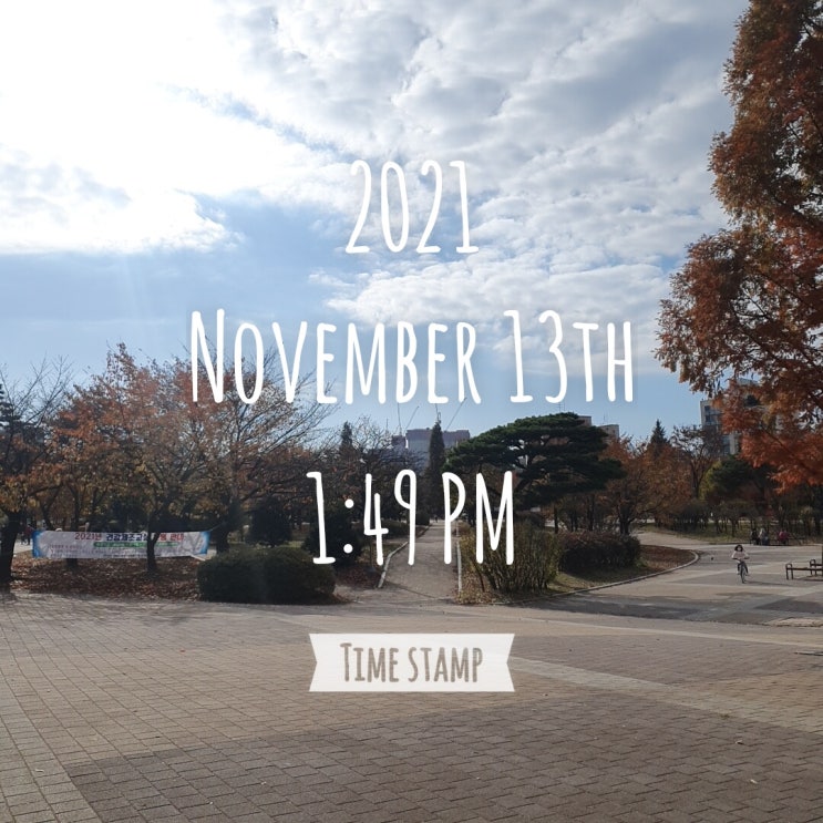  2021.11.13. 토요일 체크.