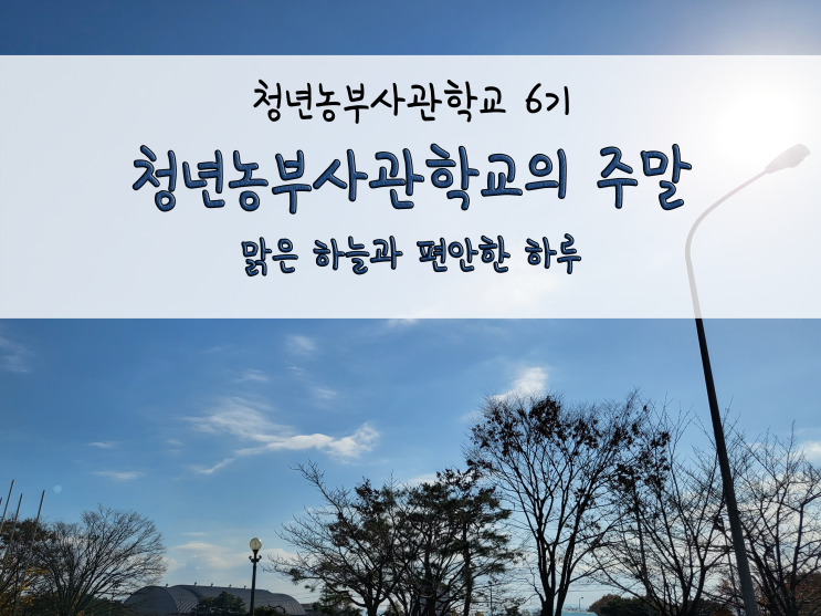  청년농부사관학교의 주말_211113