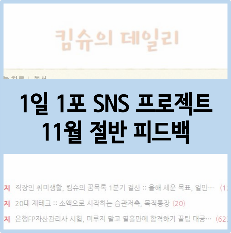 1일 1포 SNS 프로젝트 :: 11월 절반 피드백, 블로그 노하우 깨우치기