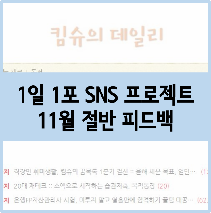  1일 1포 SNS 프로젝트 :: 11월 절반 피드백, 블로그 노하우 깨우치기