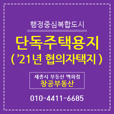  세종시 협의자택지 - 2021년 도면