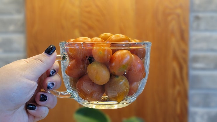  단마토 설탕을 묻힌 듯 달콤한 토마토