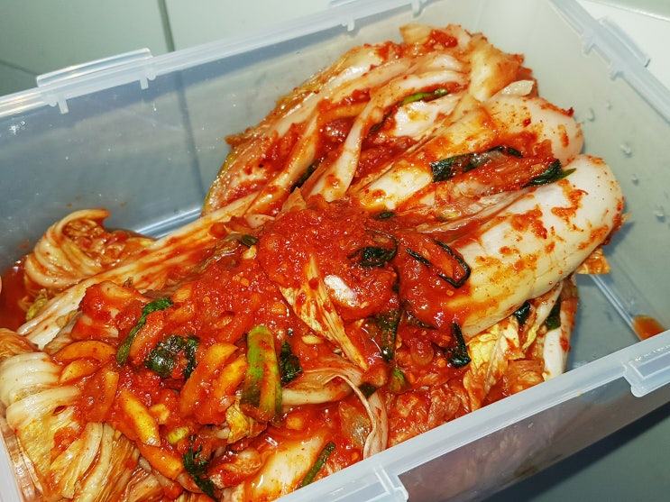 안동 학가산 배추김치 4kg 구매 후기! (아삭하고 개운한 김치 추천) 안동 학가산 배추김치 4kg 구매 후기! (아삭하고 개운한 김치 추천)