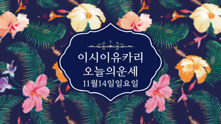  이시이유카리 오늘의 운세 11월 14일 일요일