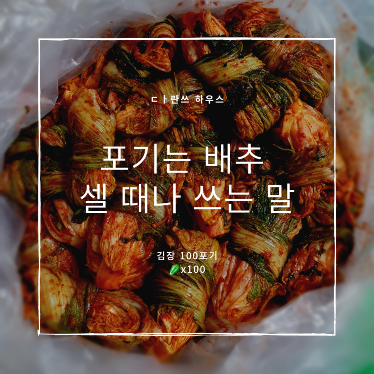  100포기 김장김치 담그기