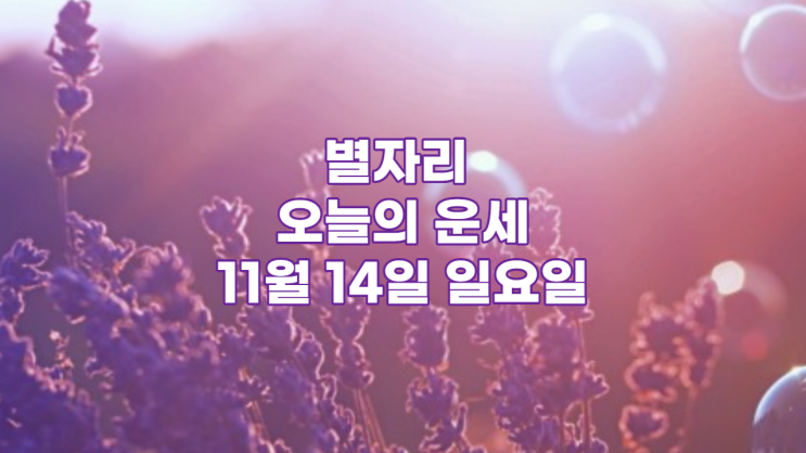  별자리 오늘의 운세 11월 14일 일요일