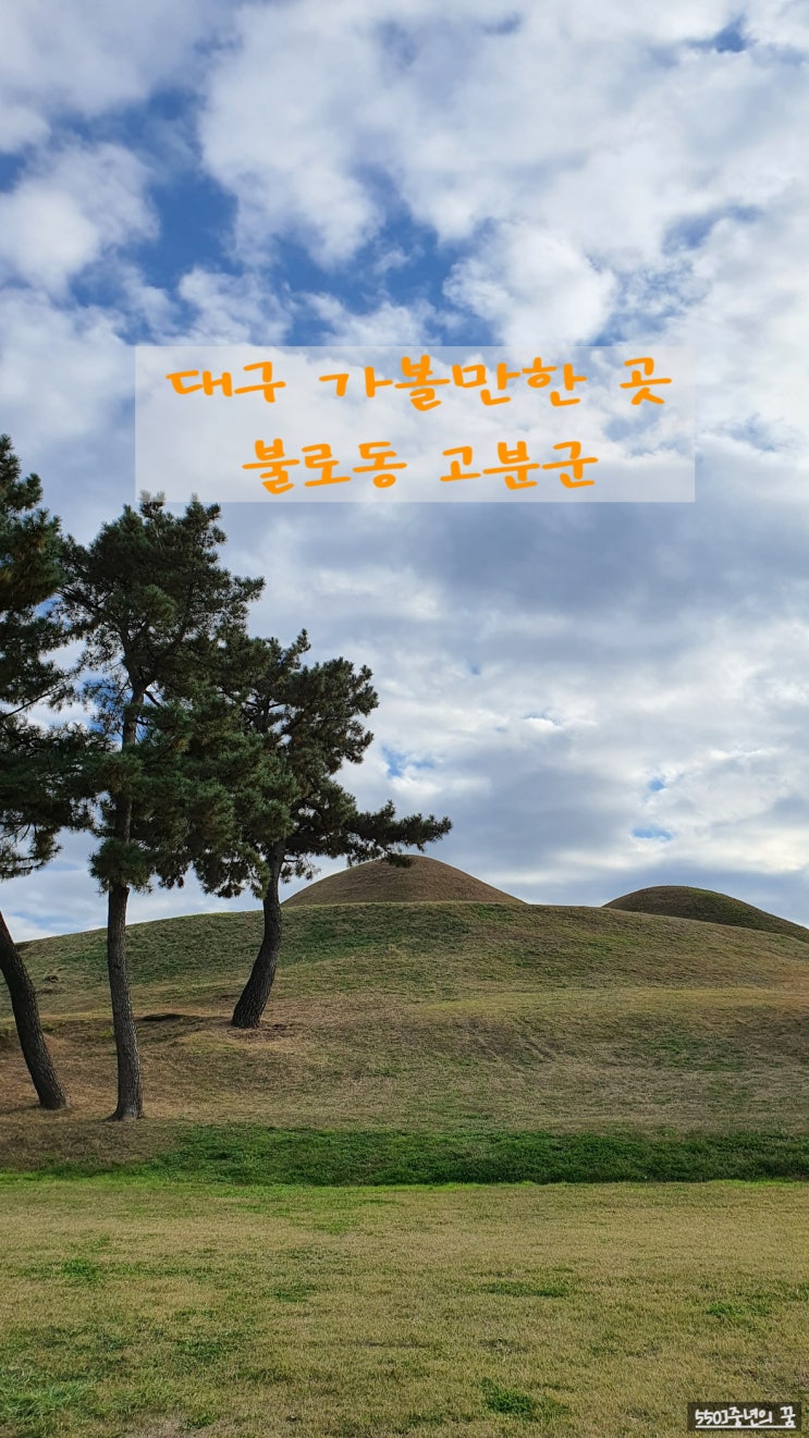  대구 가볼 만한 곳 불로동 고분군