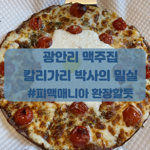  광안리 맥주집 칼리가리박사의 밀실 광안점 피맥후기