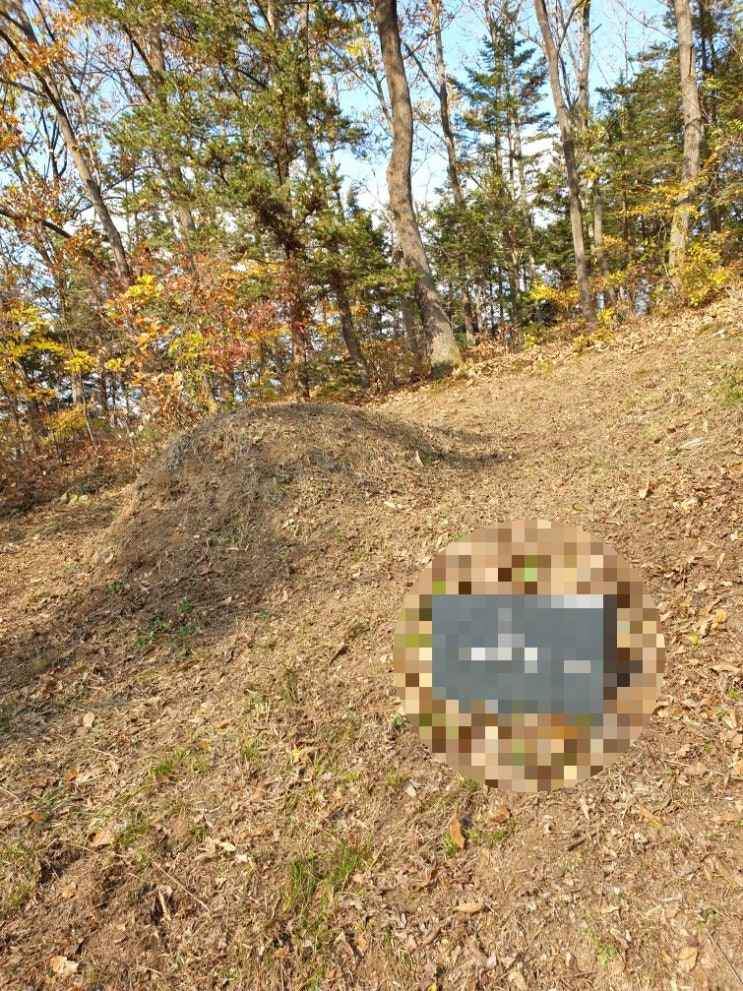  2021년 경북 김천시 봉산면 늦은 가을 벌초 김천장의사 김천고인돌장의사  #벌초대행 #벌초