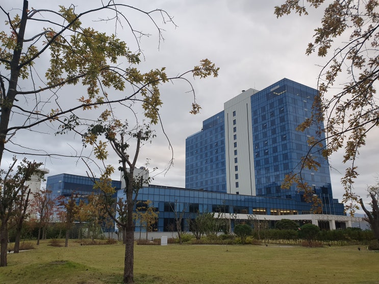  강릉 탑스텐 호텔 디럭스퀸하프오션뷰 정동진호텔 석식뷔페와 수영장 강릉헌화로 제대로 즐기기