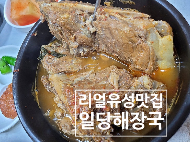  유성해장국맛집 10년도 넘게다닌 일당감자탕