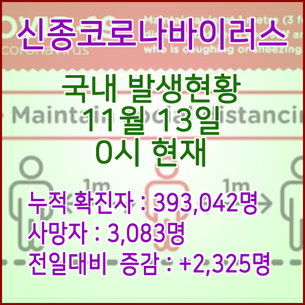  코로나19(코로나바이러스) 11월 13일 0시 신규확진자 2,325명 / 사망자 3,083명