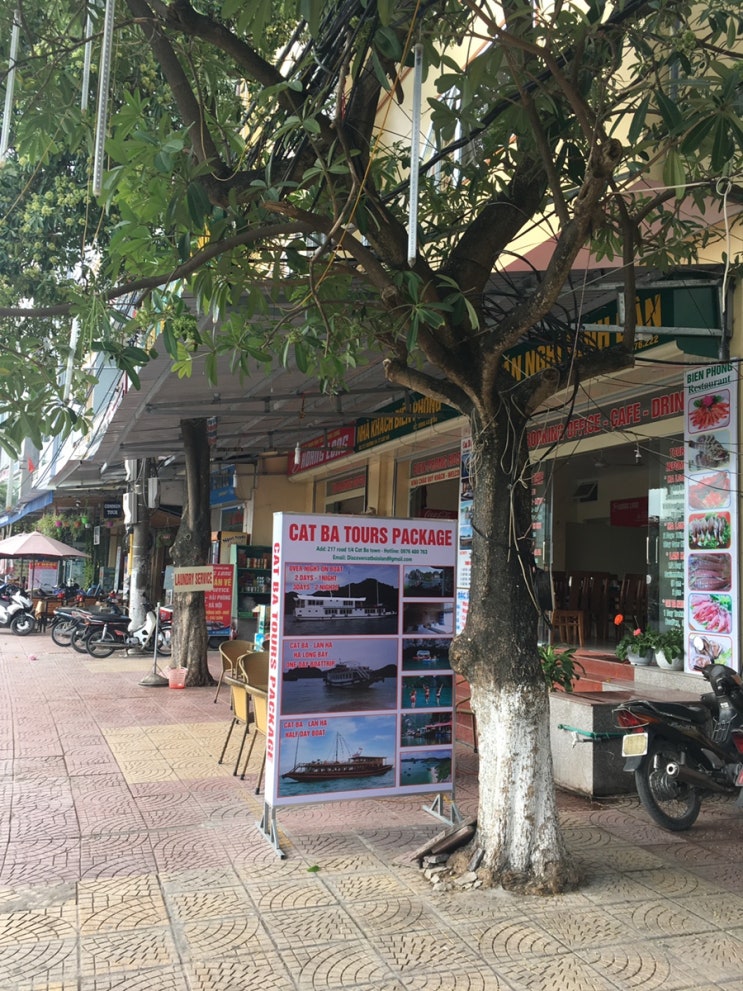  [베트남 +2] 하롱베이 투어, 캇바 아일랜드 (Cat Ba Island)