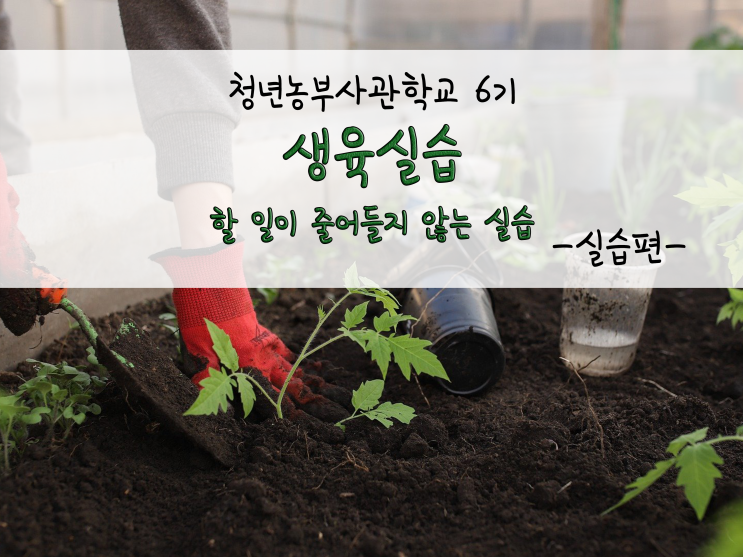  생육실습_할 일이 줄어들지 않는 실습_211112