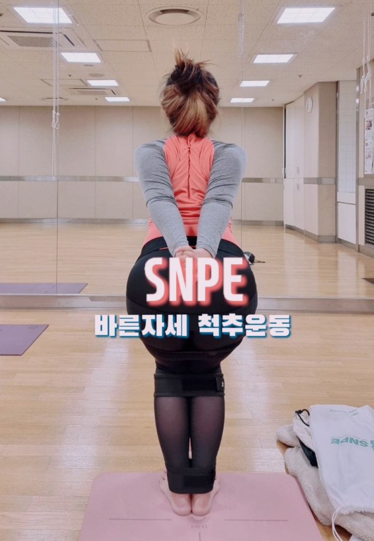 SNPE 바른자세 척추운동으로 나를 회복하자.