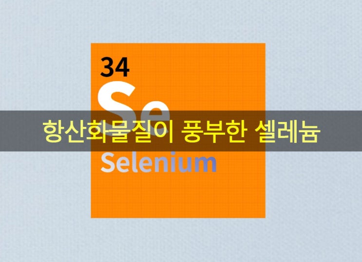  항산화물질이 풍부한 셀레늄 효능? 좋은 음식