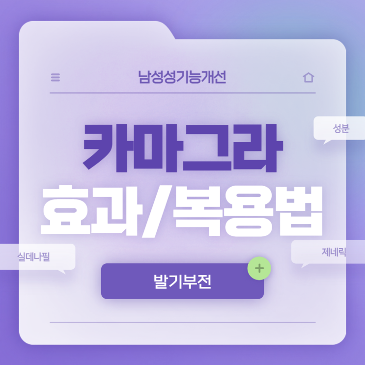 카마그라 효과 및 복용법 【#제네릭 #성분 #안전성 #주의사항】