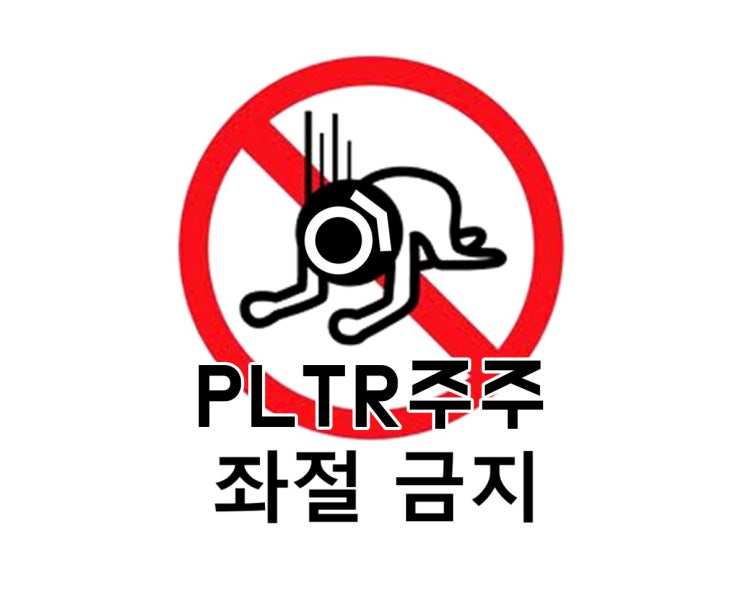  팔란티어 투자가 흔들리는 주주님들께 + 장기 투자의 현실