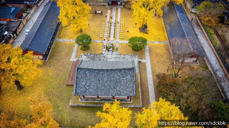  전주 한옥마을 단풍