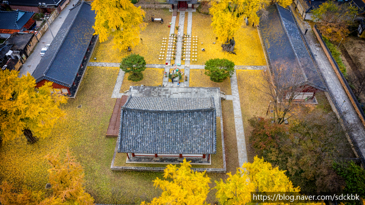 전주 한옥마을 단풍