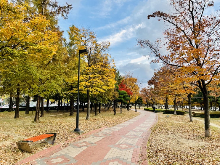 부산 단풍 물든 APEC 나루공원 산책 즐겨요 부산 단풍 물든 APEC 나루공원 산책 즐겨요