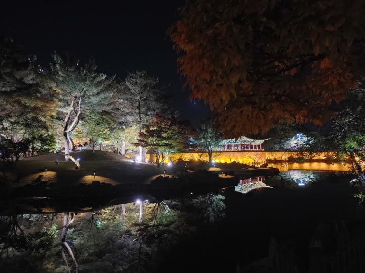 경주여행, 동궁과월지 야경 - 경주시 야경으로 제일 멋진 곳
