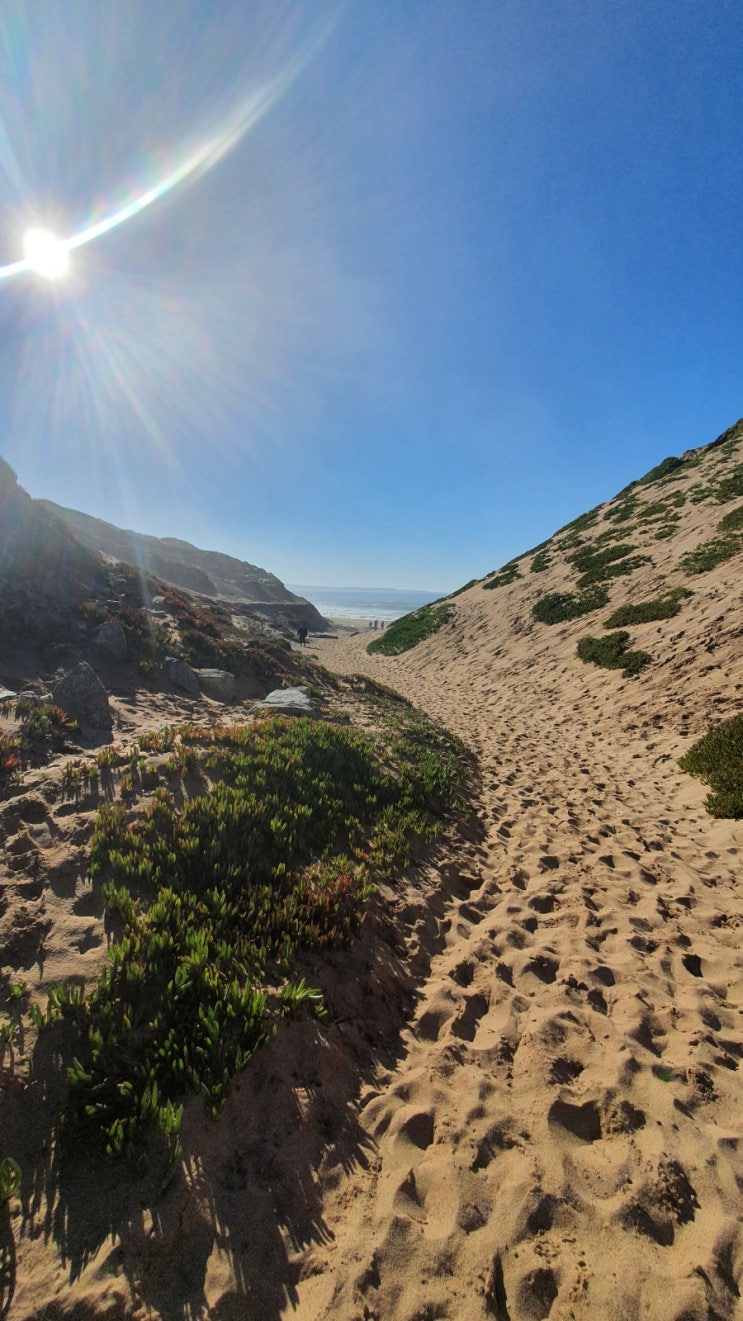  Fort Ord Dunes State Park: California, Marina[포르 오르 던스 주립공원: 캘리포니아 마리나]