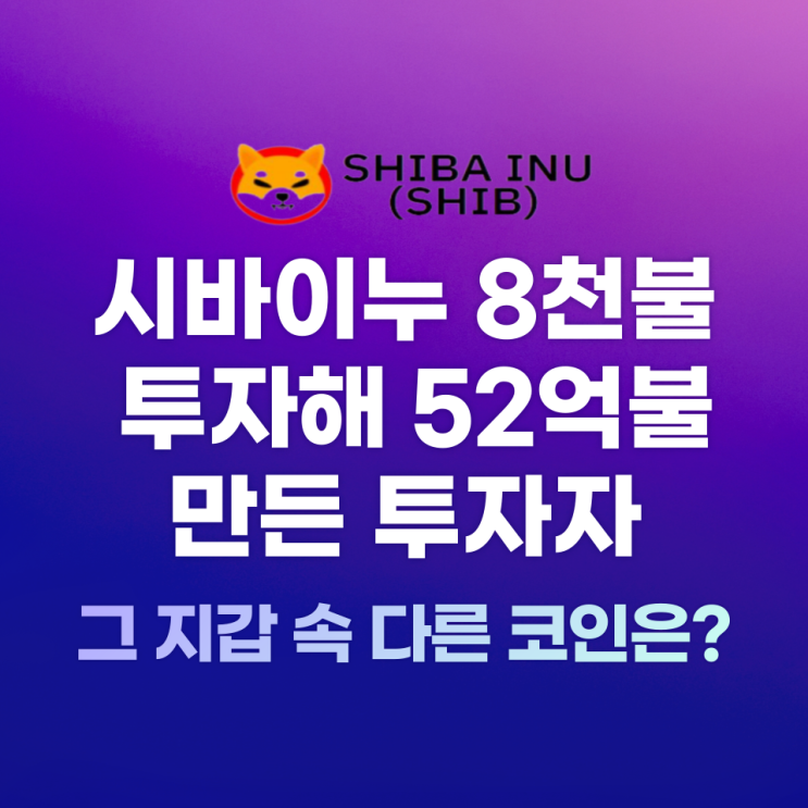  시바이누 8천불 투자해 52억불(6조원) 만든 투자자…그 지갑속 다른 코인은?
