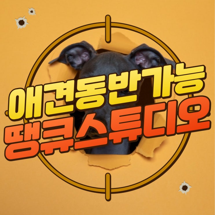  아이쥐 블로그 - 애견동반가능 “땡큐스튜디오” 방문 후기