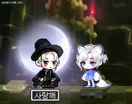  메이플 밤하늘 수묵 후기,믹염 등 여러가지 일상