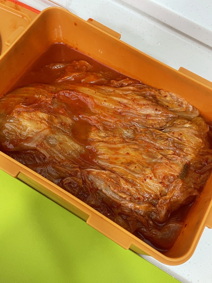  광신농산 100% 국내산 전라도 묵은지 김치주문! (묵은지김치찜, 두부김치️)