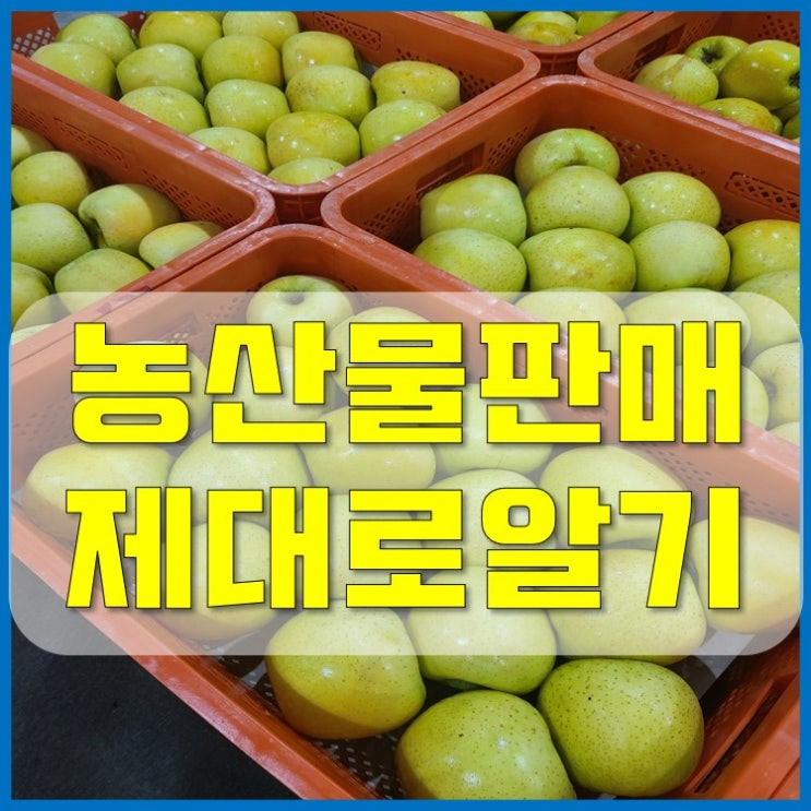  농산물 쇼핑몰 판매 창업의 허와 실