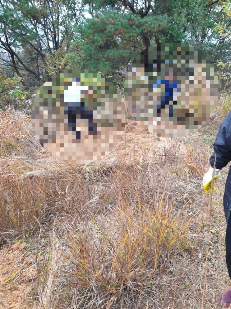  2021년 경북김천시 아포읍 대신리 산소 파묘후 화장 다른지역 안치 김천 고인돌장의사 #장의사 #화장 #산소이장 #김천이장