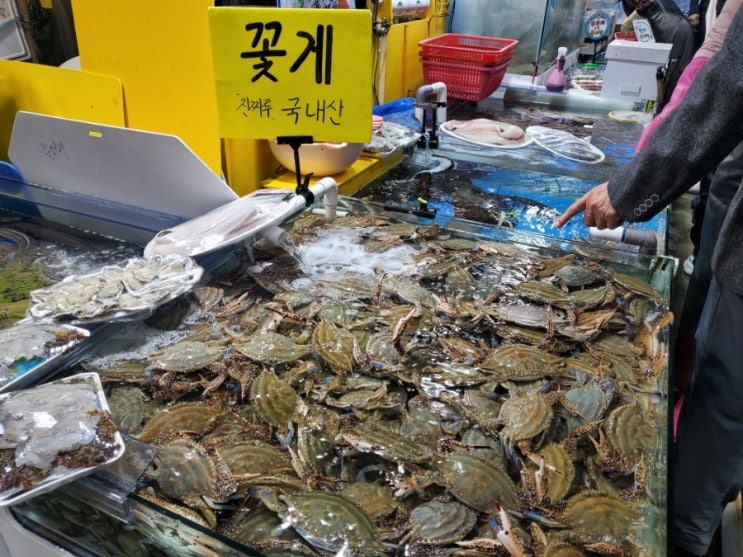  궁평항 꽃게.궁평항 제철음식. 11월음식 석화찜