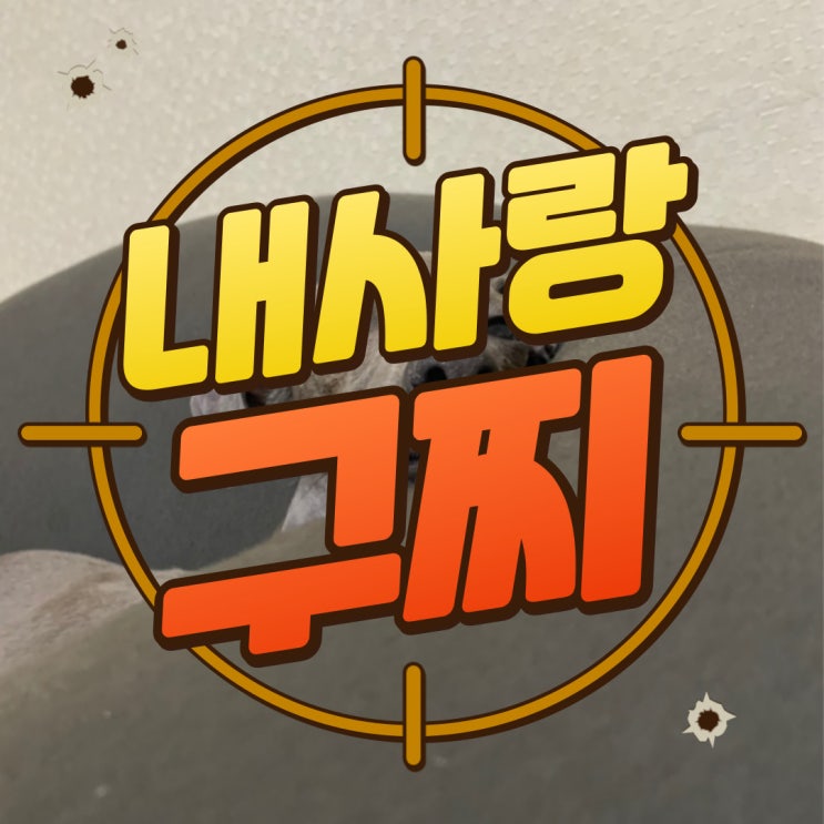  아이쥐 블로그 - 구찌의 일상ღ