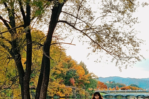 도토리중고서적 이미지