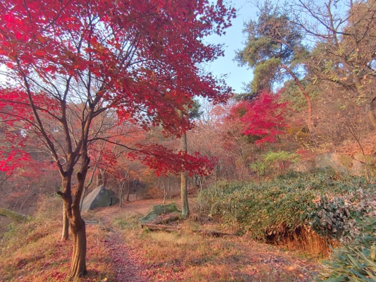 오늘 아침 설봉산의 가을 풍경