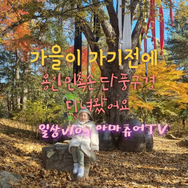 (영상)늦가을 단풍구경하러 용인 민속촌 다녀왔어요 카메오 BAAM출현 일상 VLOG_아마츄어TV