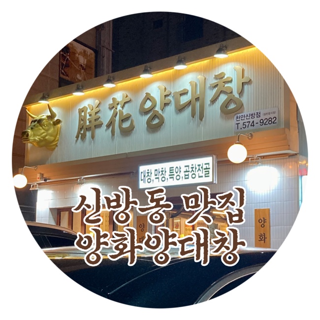  천안데이트 천안맛집추천 양화양대창 신방점