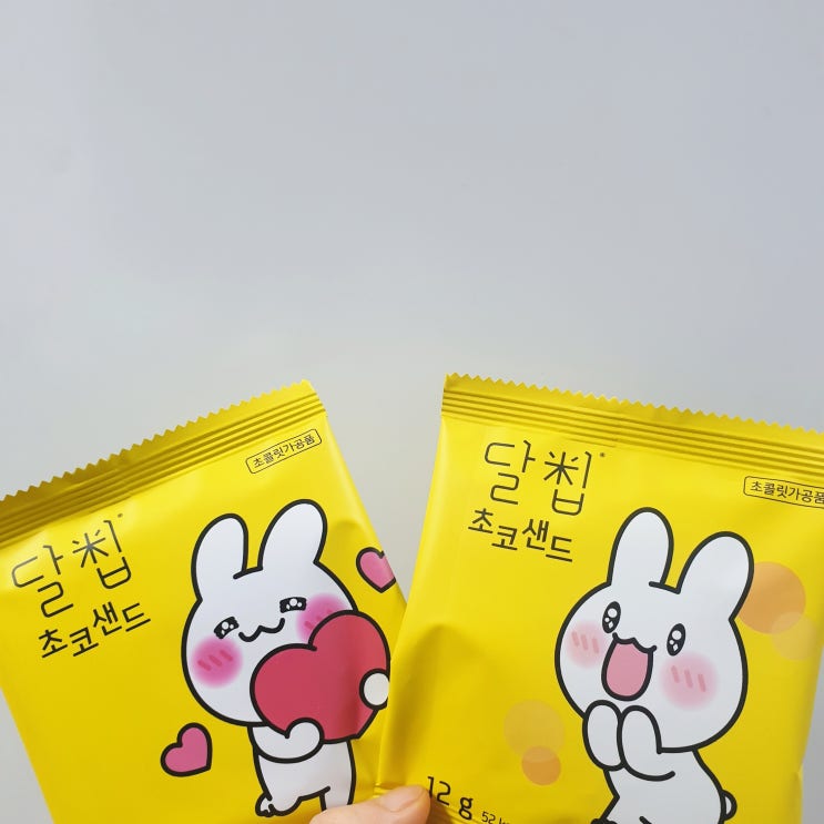  달칩초코샌드 쌀로 만든 건강한 과자! 다이어트간식 내돈내산
