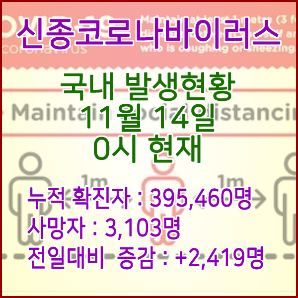  코로나19(코로나바이러스) 11월 14일 0시 신규확진자 2,419명 / 사망자 3,103명
