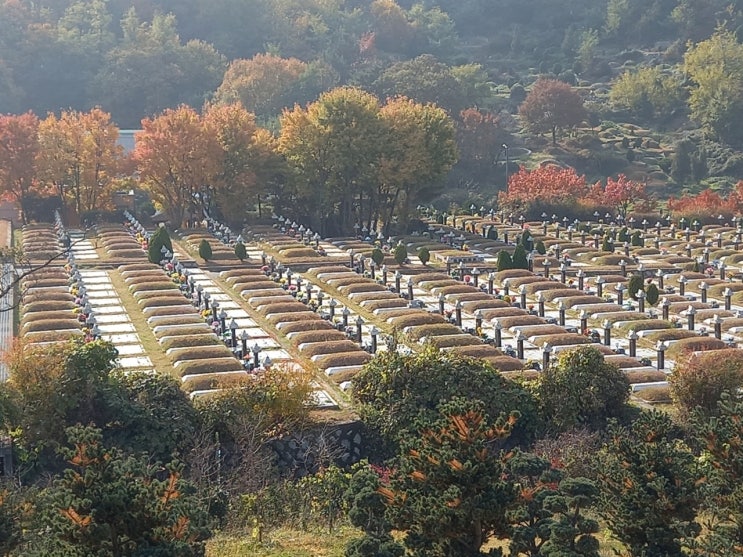 죽은 이들의 마을로, 단풍 나들이를 떠났습니다 죽은 이들의 마을로, 단풍 나들이를 떠났습니다