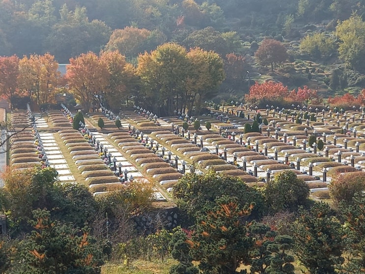 죽은 이들의 마을로, 단풍 나들이를 떠났습니다