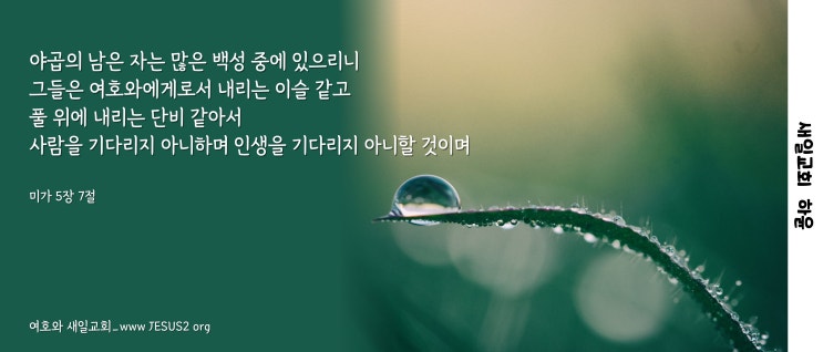 새일교회 난구절특강 | 41. 북방 앗수르를 들어서 진노의 날에 막대기로 쓰는 일 (사 10:5)