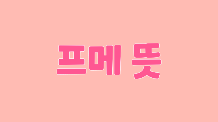  프메 뜻