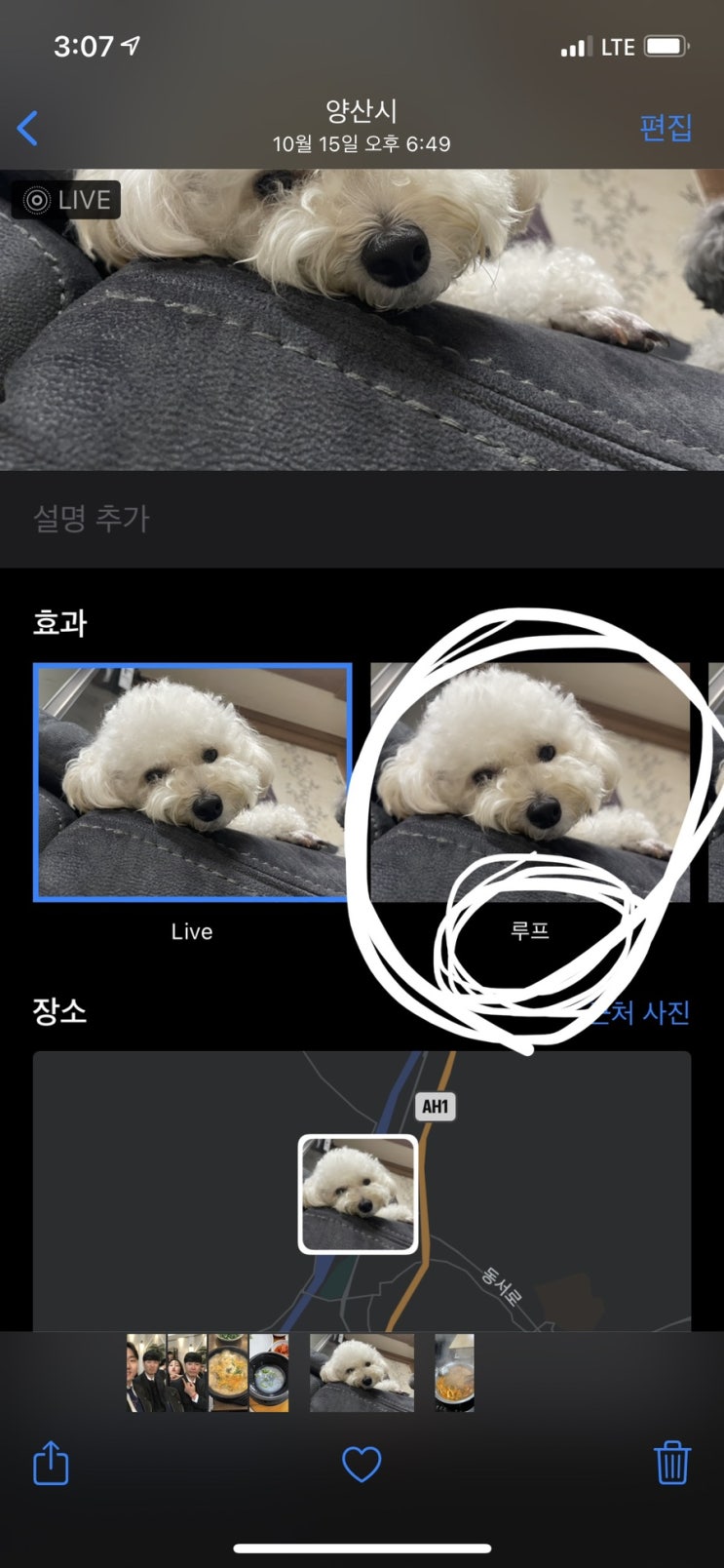  아이폰 라이브포토 gif로 변환하는 방법 알려드림