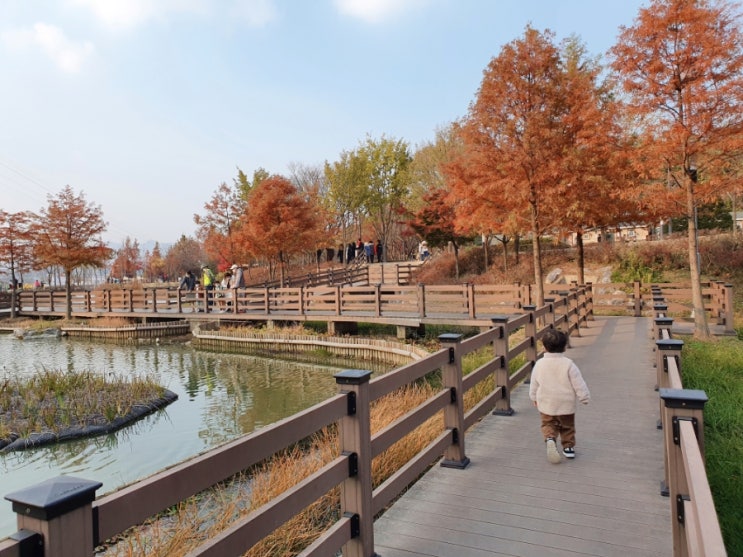 의왕 레솔레파크 :: 경기도 아기랑 가기 정말 좋은 호수공원