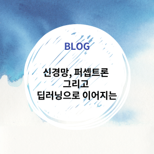  [Deep Learning] 신경망, 퍼셉트론 그리고 딥러닝으로 이어지는