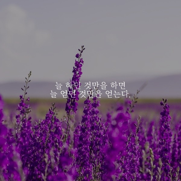 부거사이 [부동산 뉴스와 블로그] 11월 15일(월)