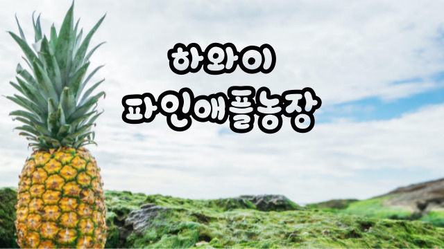  돌플랜테이션 , 하와이 아이와가볼만한곳